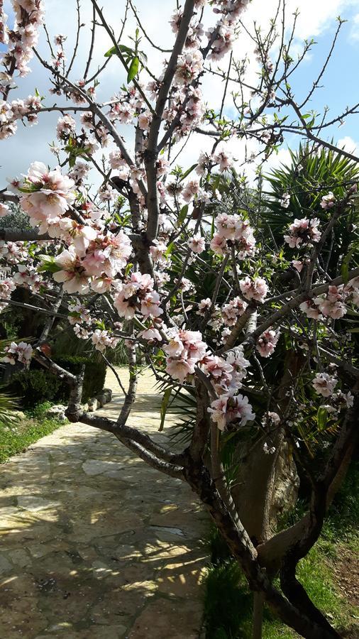 Villaggio Mosè Casale Rocca Russa B&B المظهر الخارجي الصورة